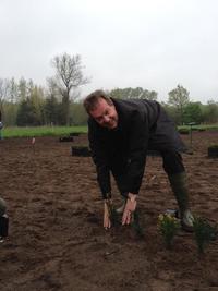 mei 2012 - Burgemeester Diels van de gemeente Lille plant 50 meter taxushaag in het eerste Vergroot de Hoop-park.