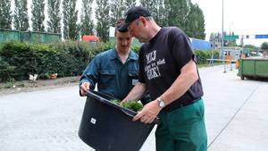 juni 2013 - De parkwachters staan weer klaar om het snoeisel in ontvangst te nemen. Dikke merci!