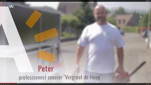 juli 2015 - Antwerpen snoeit voor Vergroot de Hoop. Doneer ook jouw taxushaag!